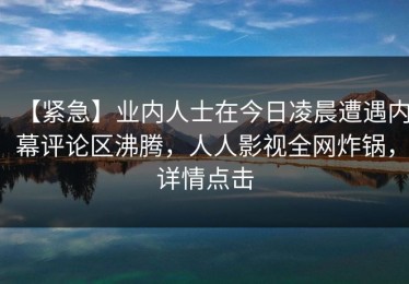 【紧急】业内人士在今日凌晨遭遇内幕评论区沸腾，人人影视全网炸锅，详情点击