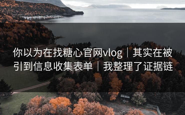 你以为在找糖心官网vlog｜其实在被引到信息收集表单｜我整理了证据链